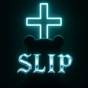 Slip cover art